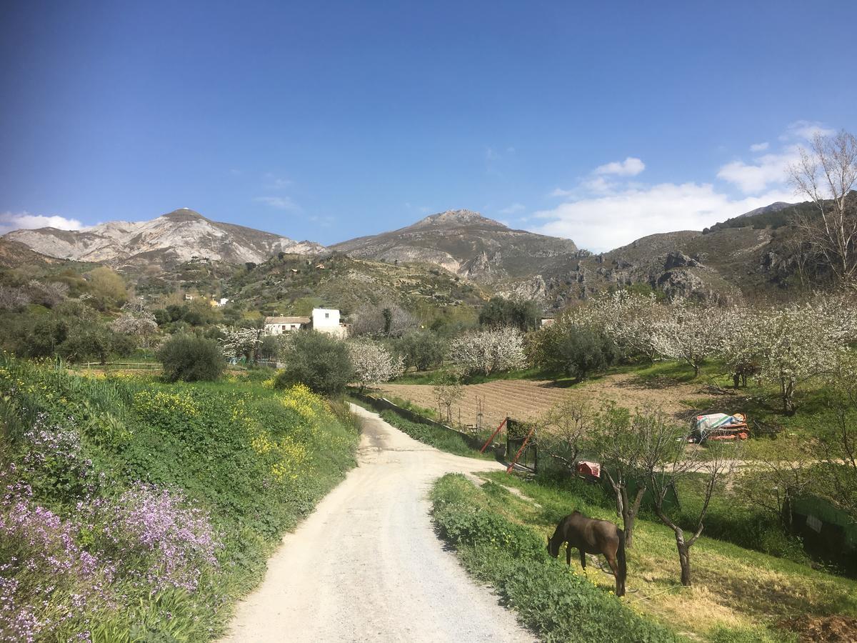 Hotel Rural Fuente La Teja Güéjar Sierra Kültér fotó