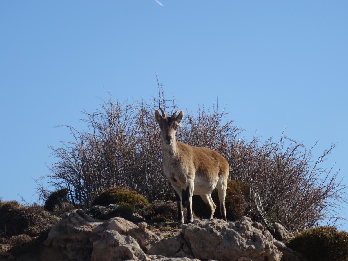 Hotel Rural Fuente La Teja Güéjar Sierra Kültér fotó